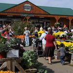 Linvilla Orchards