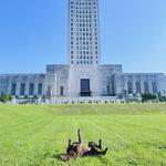 Visit the Capitol