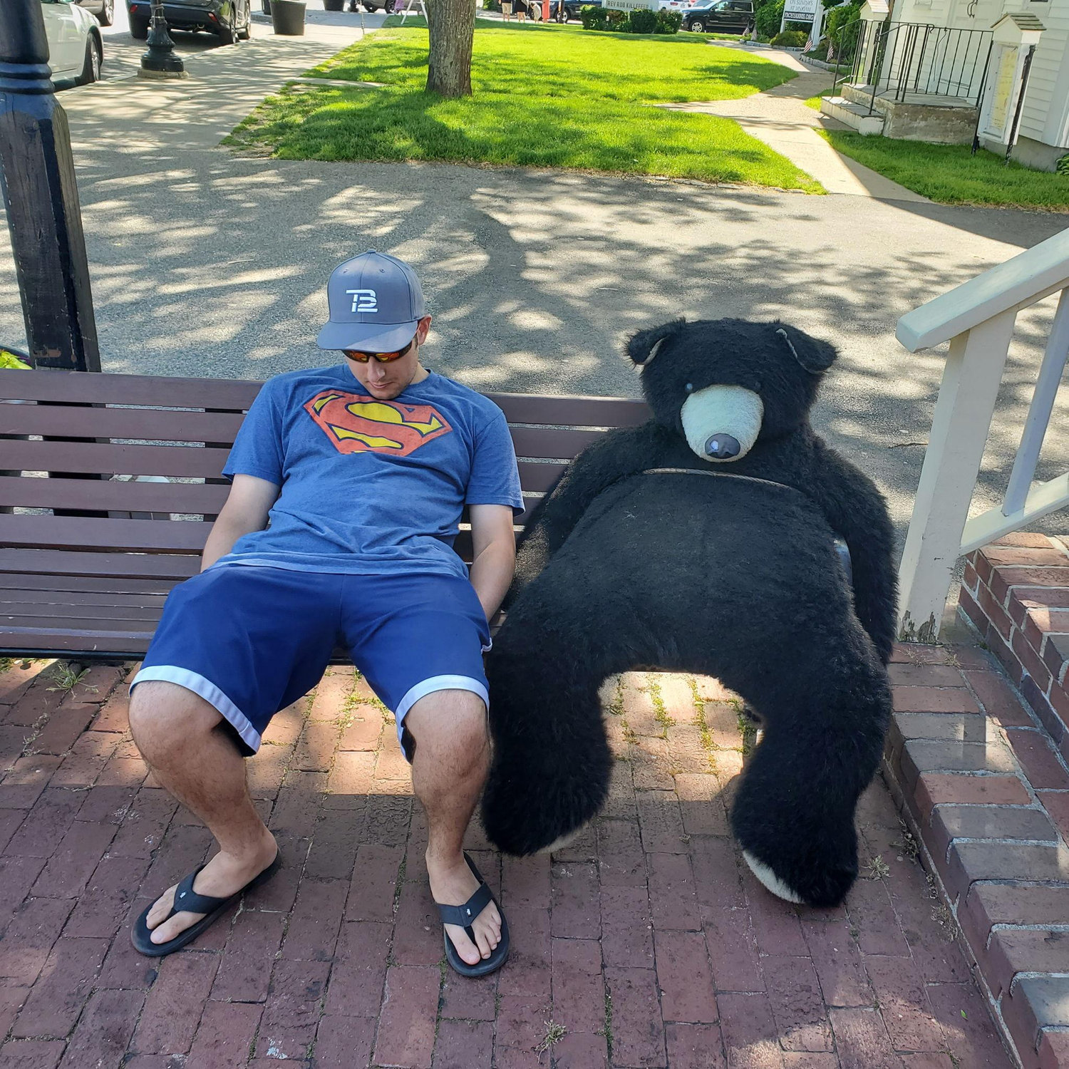 Alex and his bear