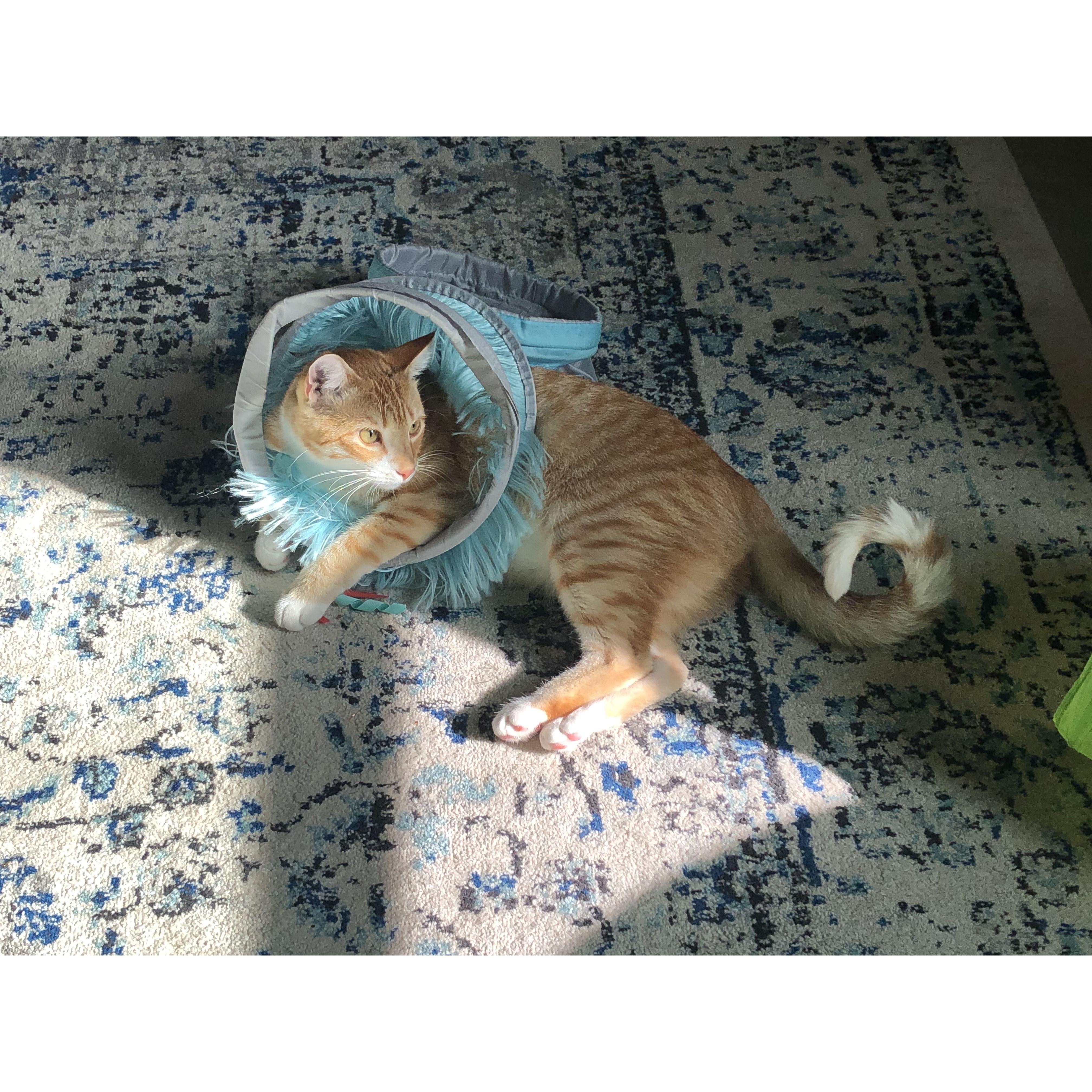 You can't see him, but Growler is in the photo.