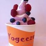 Yogeeze Frozen Yogurt
