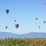 Magical Adventure Balloon Rides