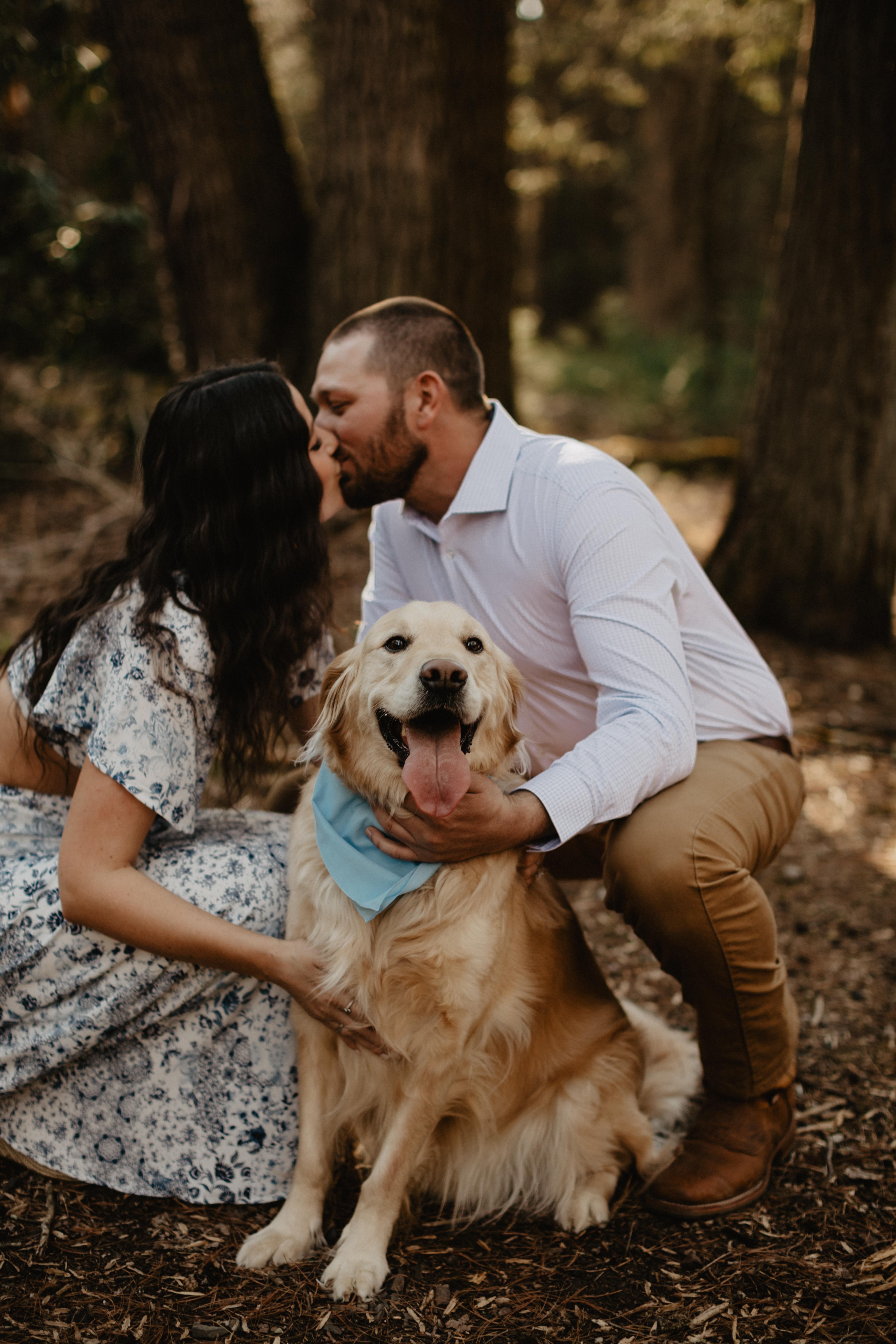 bbd7113b-4db7-4873-98da-4fa91374a0bb