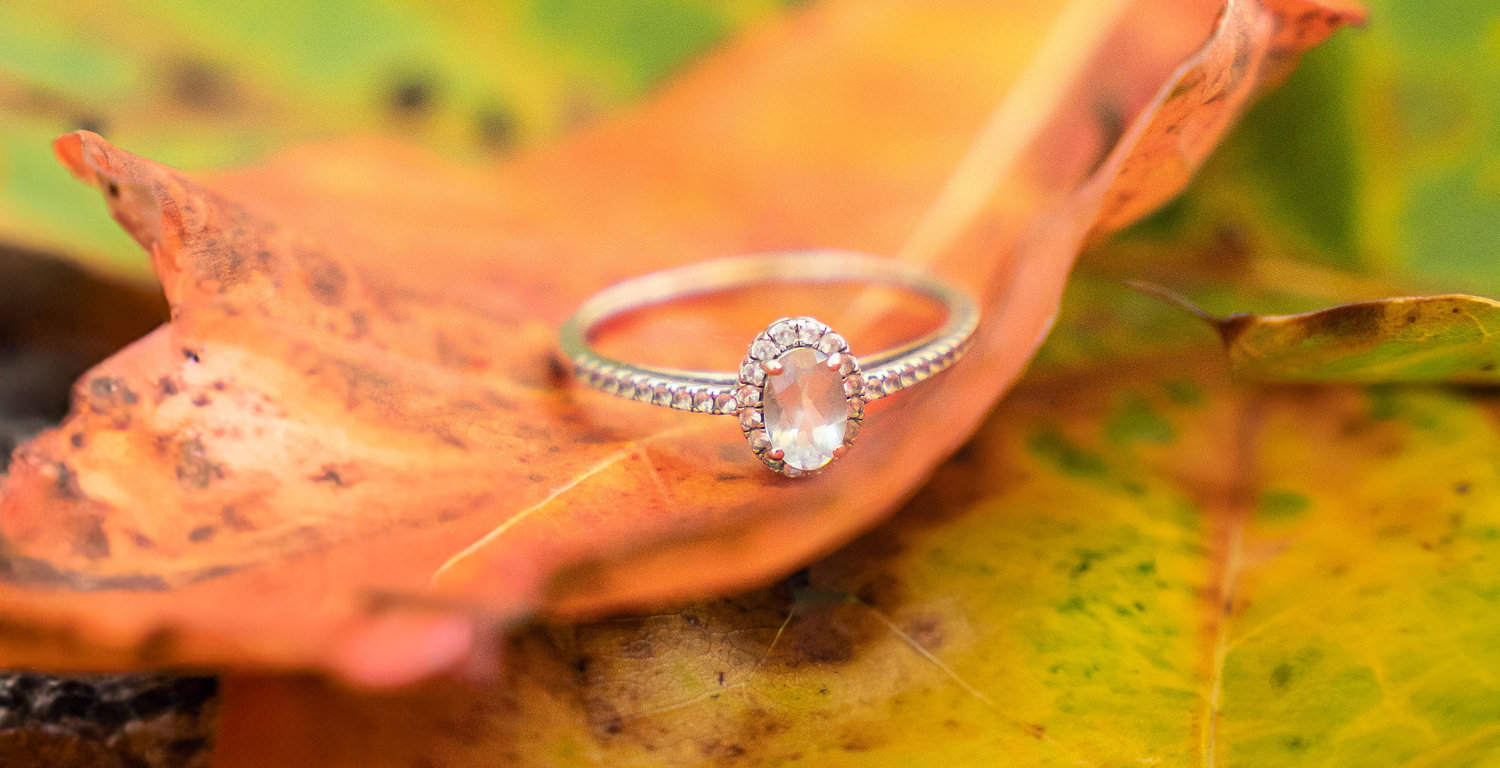 The Wedding Website of Alexa Aurednik and Zachary Myers