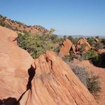 Thunderbird Gardens
