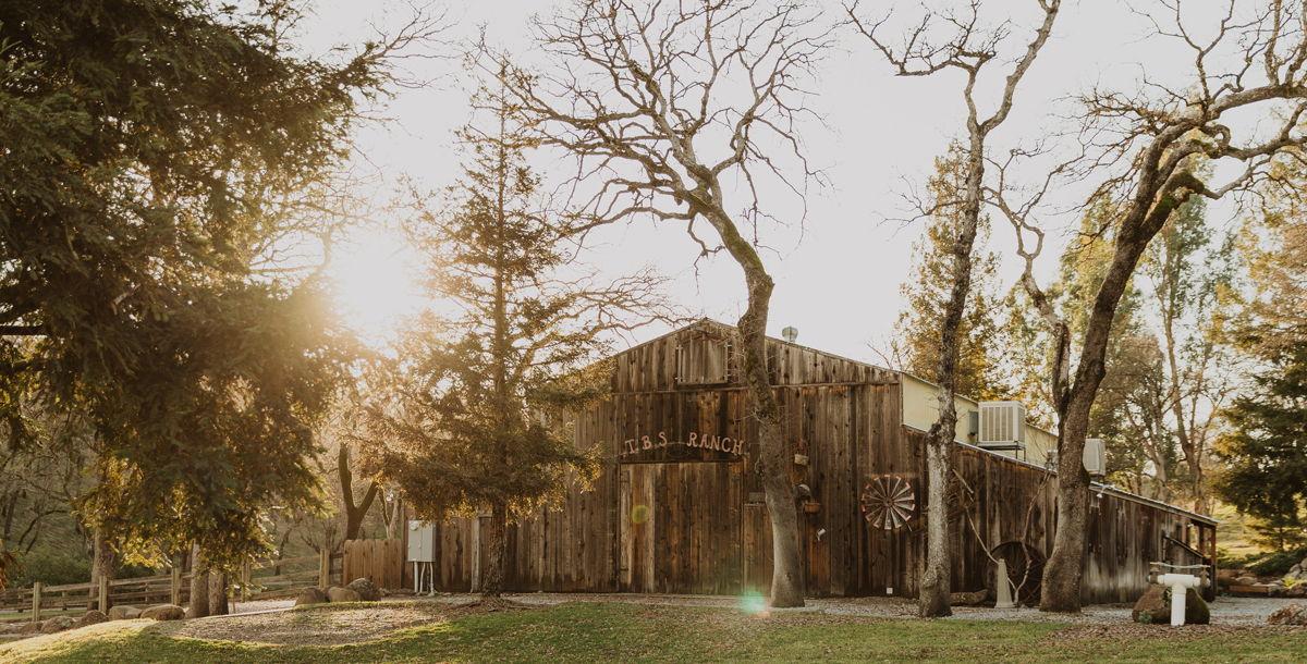 The Wedding Website of Caroline Hayward and Tyler Kenealy