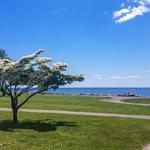 Sherwood Island State Park