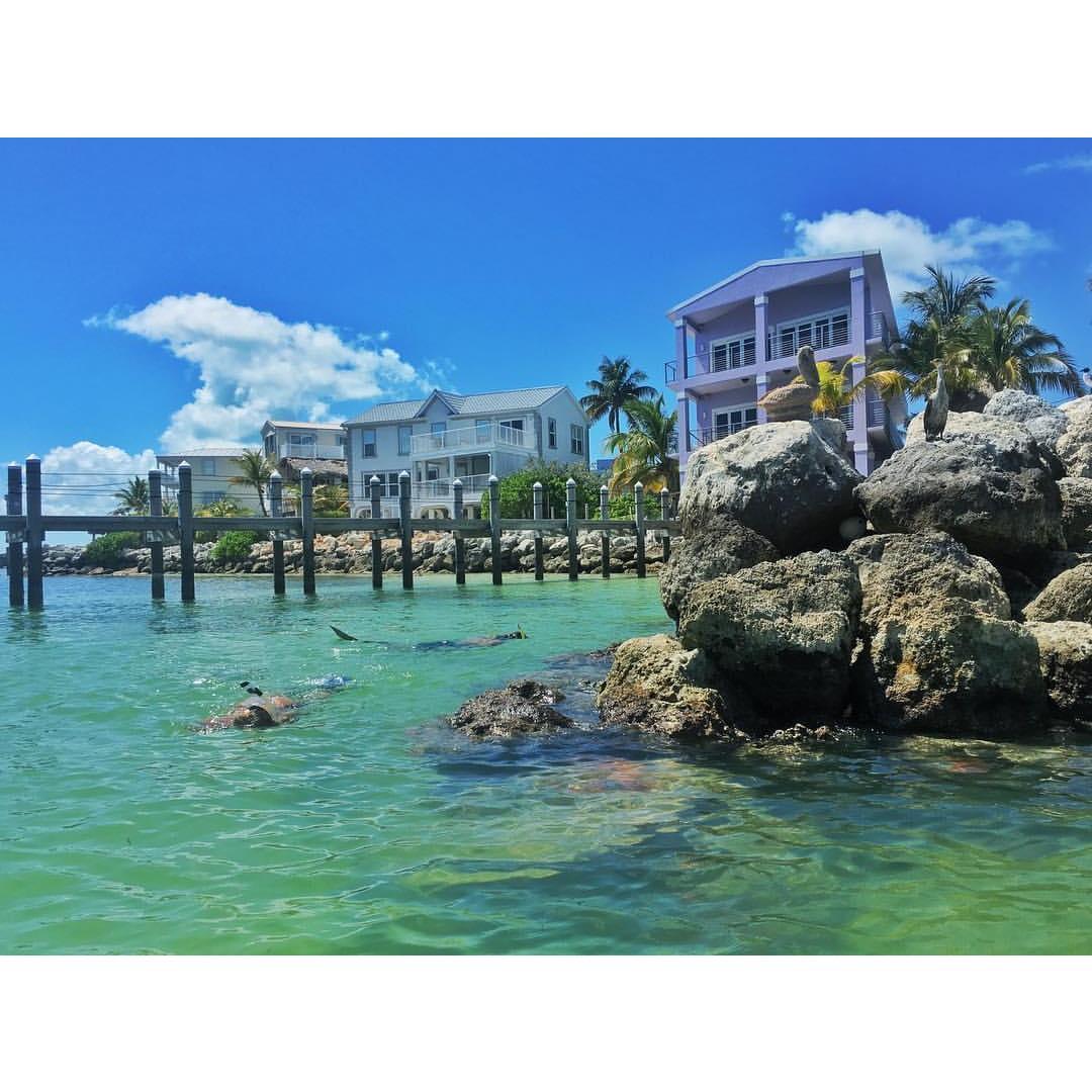 Snorkeling in the Keys