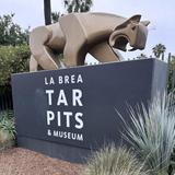 La Brea Tar Pits and Museum