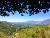 Ojai