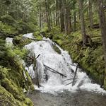 Little Zigzag Falls Hike