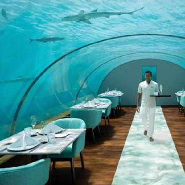 Dinner For Two -Honeymoon