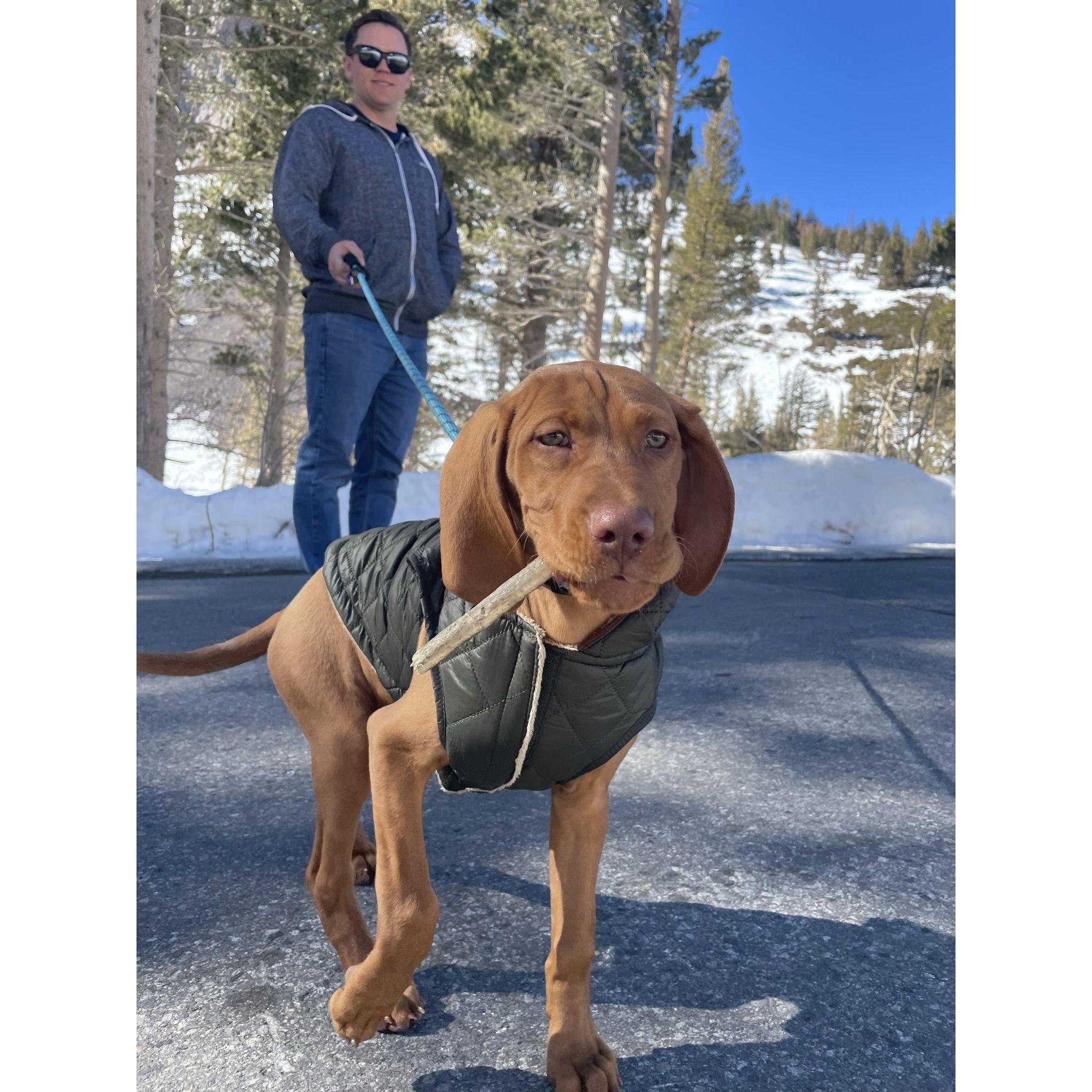 They fell in love with each other, but Baja stole their hearts.