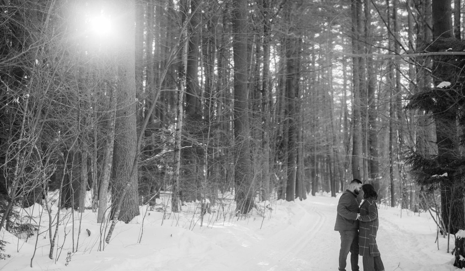 Footer image