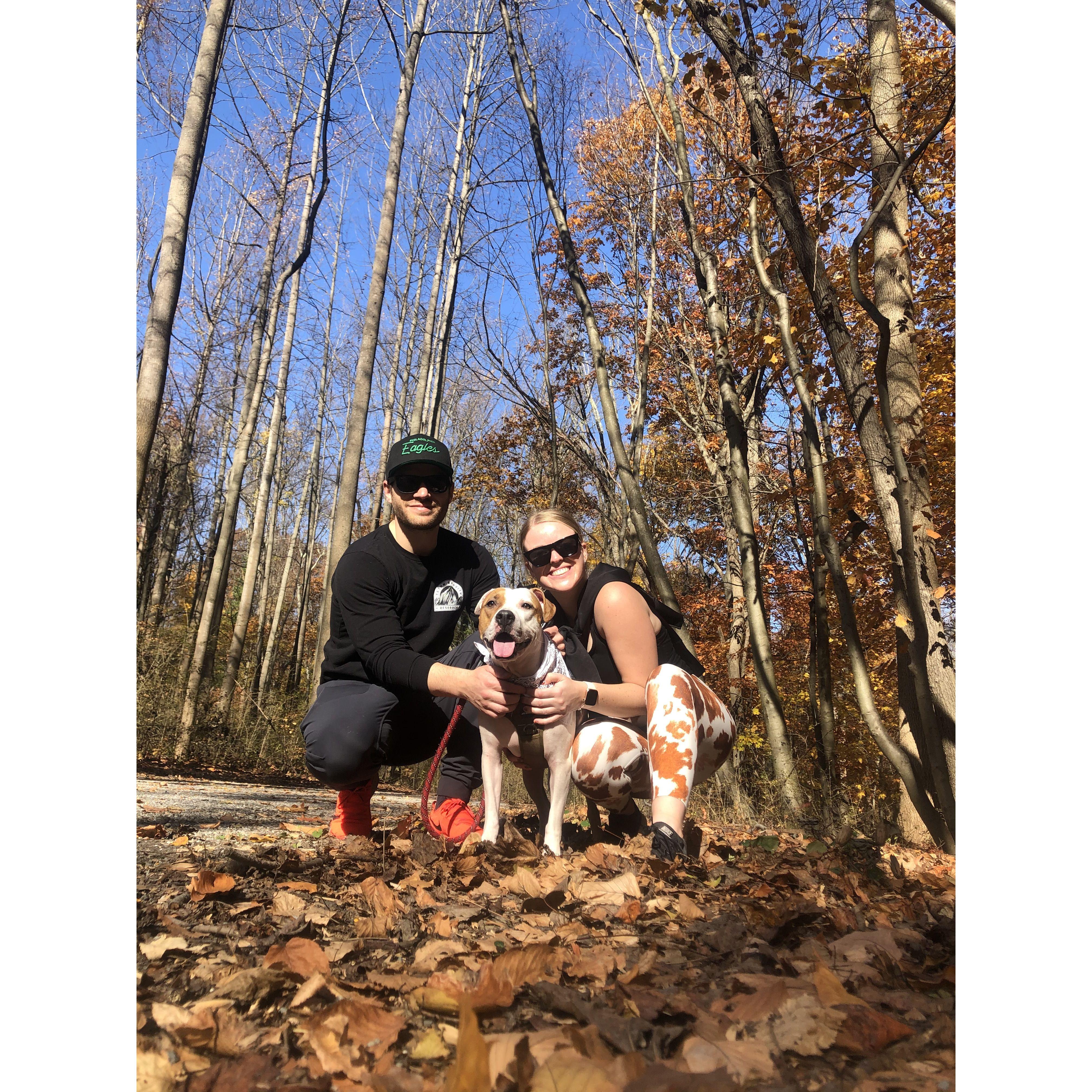 COVID Lockdown walks through the park with Millie! 
(To be honest, this was a weird time and they were starting to lose their minds at this point but the walks helped!)