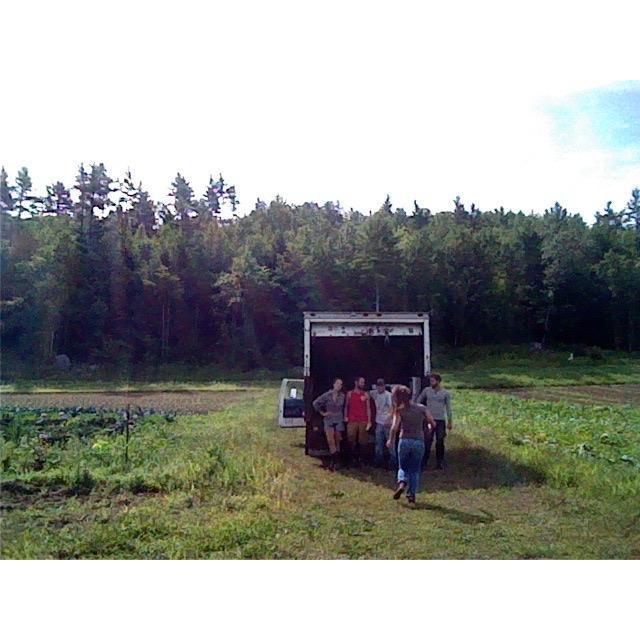 Summer 2013- Working at Middle Branch Farm in New Boston, NH, planting and harvesting organic vegetables