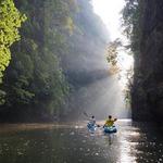 Ao Thalene Mangrove Kayaking