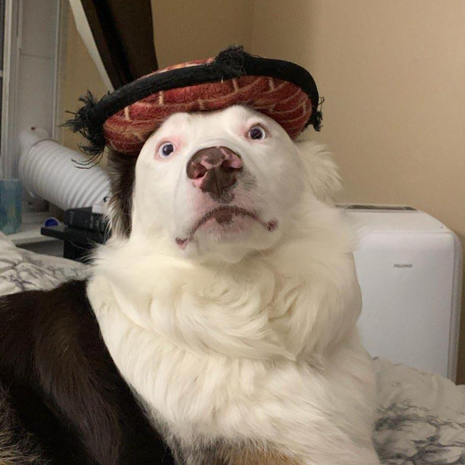 Our son...we think he might be broken