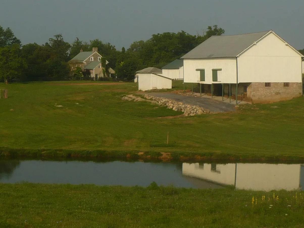 The Wedding Website of Juliana Hoover and Jon Stafford