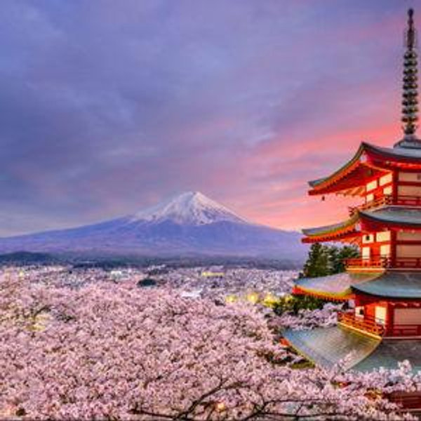 Honeymoon to Japan