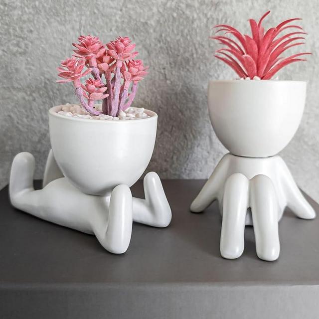 OLEEK Small fake plants for shelf decor - Pink gift - Cute office decor for women - Office decorations for work desk women - Desk decorations for women office - Classroom Succulent - Artificial shrubs