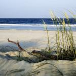 Ditch the City, Hit up the Beach