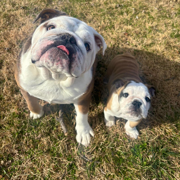 Cici & Margot’s Toy Fund