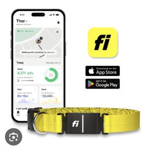 Fi Collar Series 3+ Membership Renewal for Maya