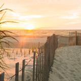 Fenwick Island/Bethany/Ocean City Beaches