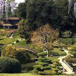 The Huntington Botanical Gardens