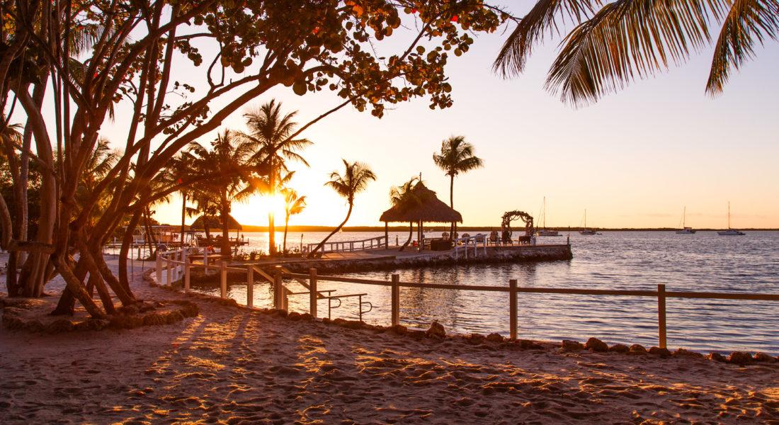 The Wedding Website of Ceylan Korkmaz and David Lesser