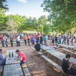 Jester King