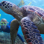 Honolulu snorkeling tour