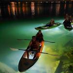 Sharkey's Glass Bottom Tours