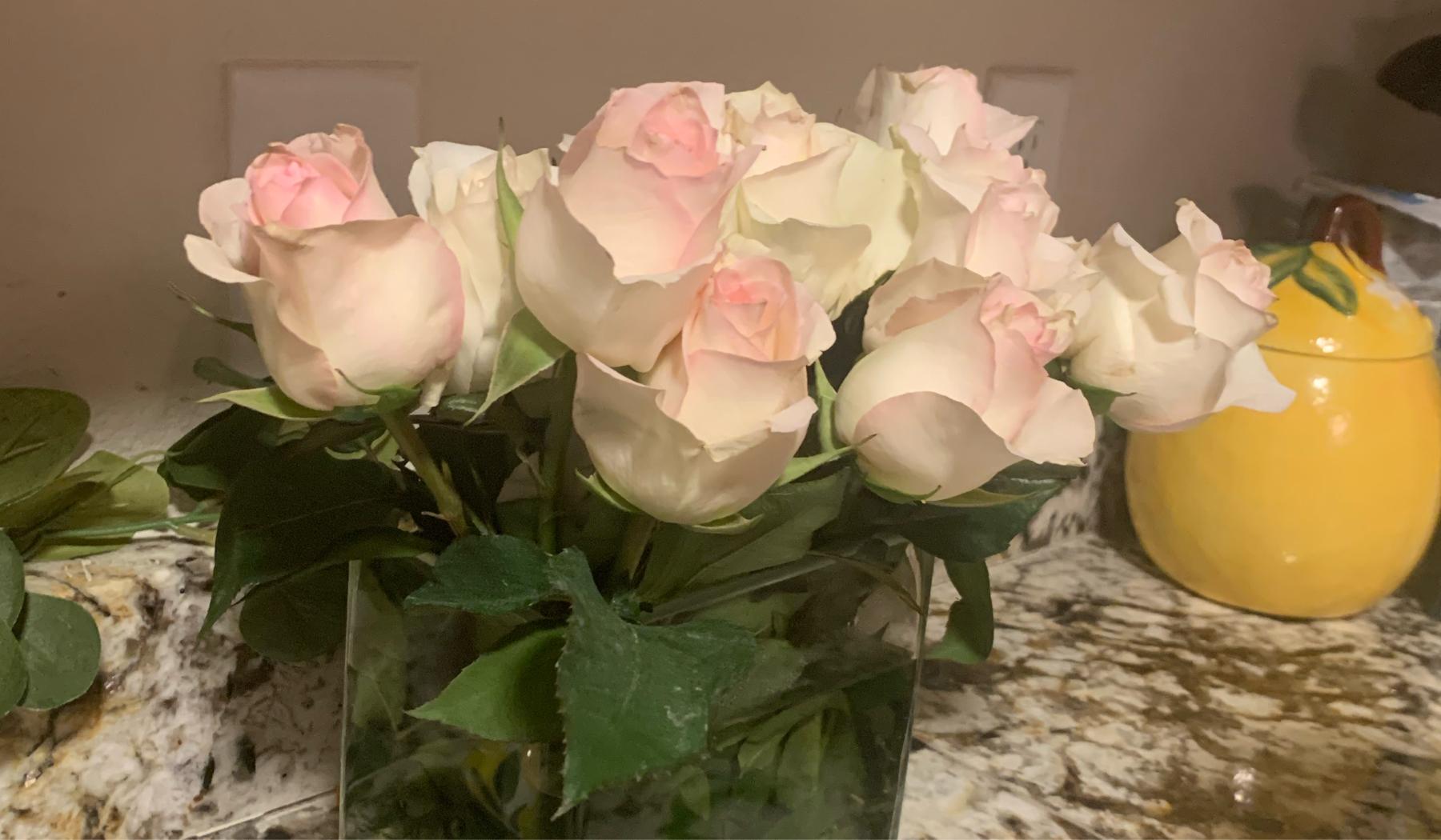 The Wedding Website of Ja’zeria Erwin and Bennett Wheatley