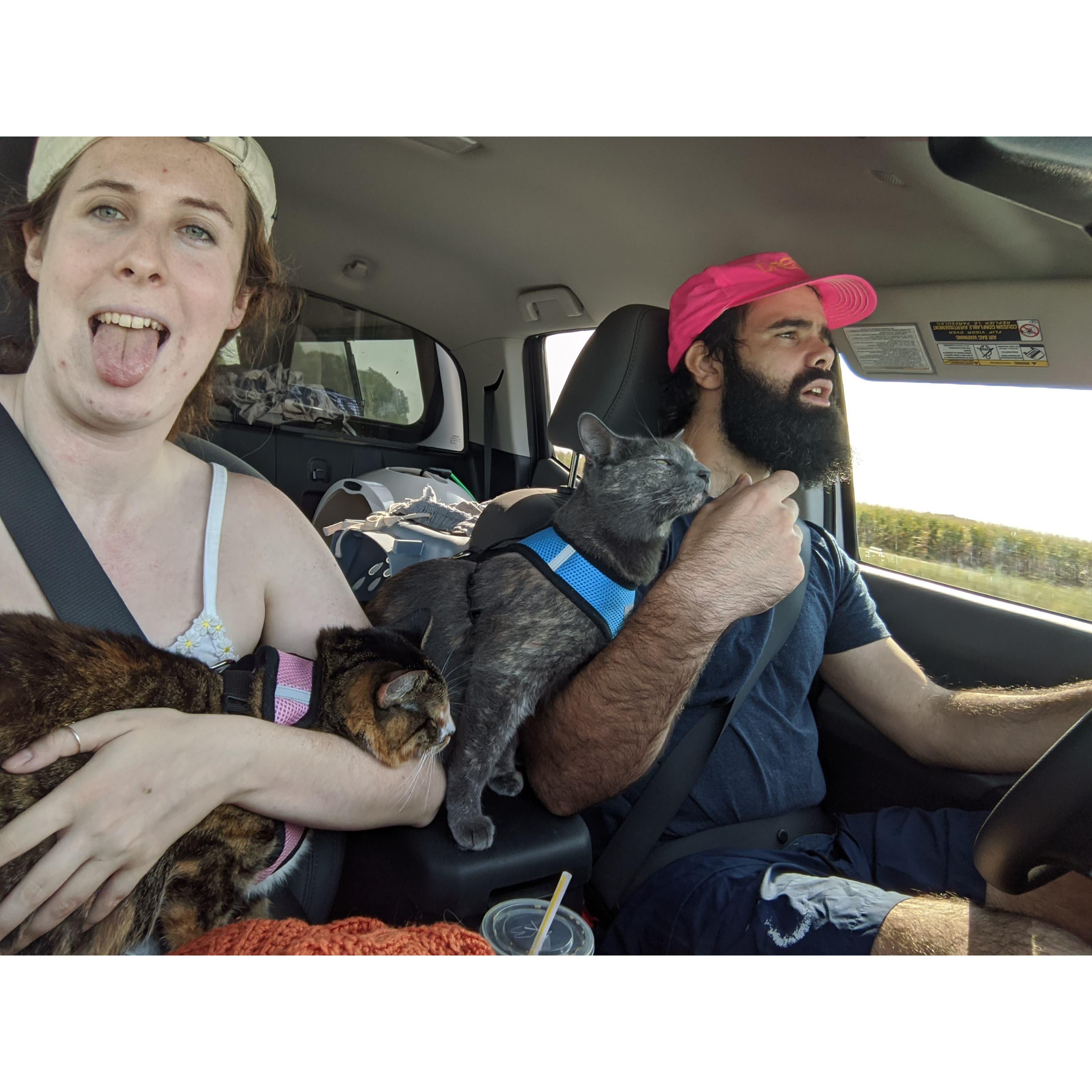 2 cats, 1 truck. Millard and Fillmore are some of the most well travelled felines we know