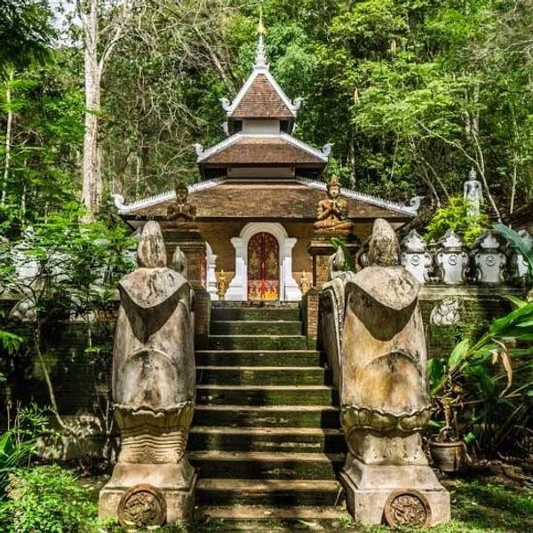 Chiang Mai Guided Tour: Monk’s Hike & Temple