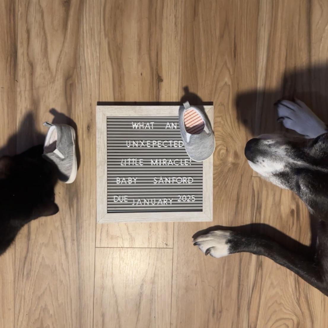 Announcement of baby (June 2024)