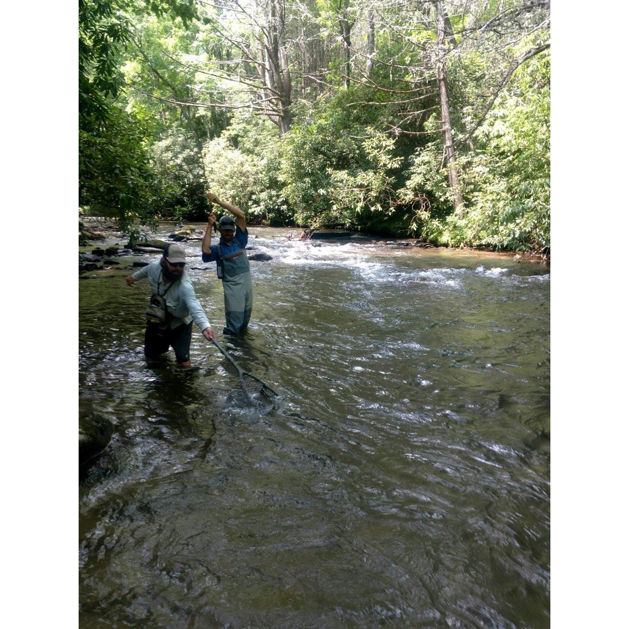 River at the pavilion
