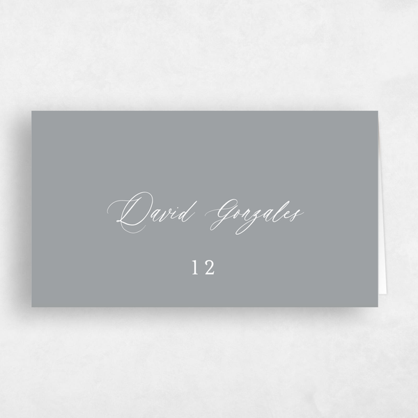 Maui | Pewter Gray | Zola Wedding Place Cards