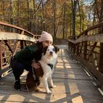 Oak Openings Preserve Metropark