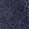 Coastal Navy