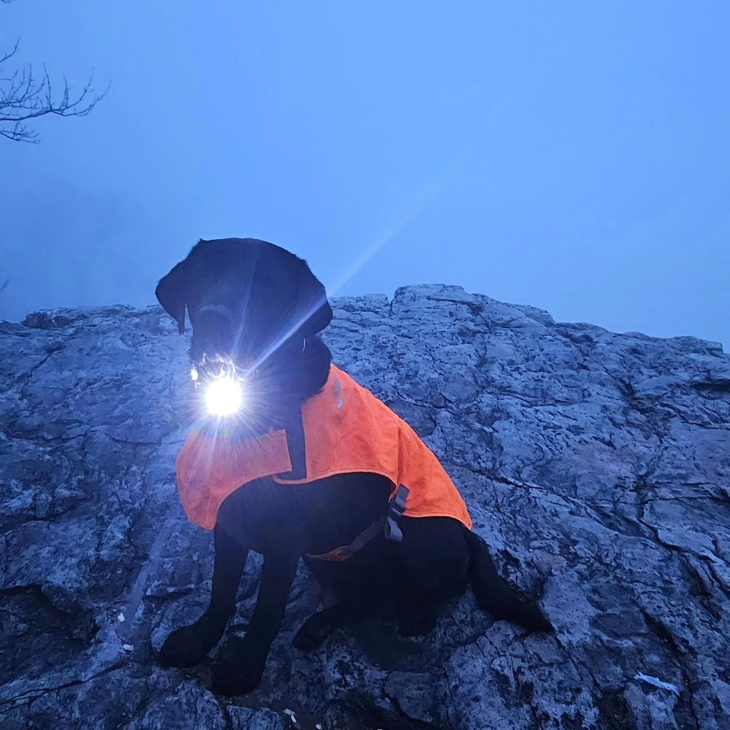 sunrise hiking in the fog