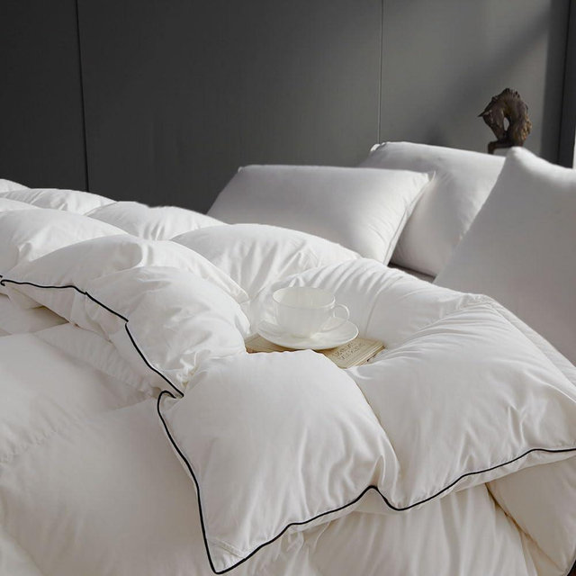 sleeprove Noiseless Queen Size Down Comforter,Medium Weight All-Season Duvet Insert with 8 Loops,Luxury Bedding Comforter, White,90"x90"