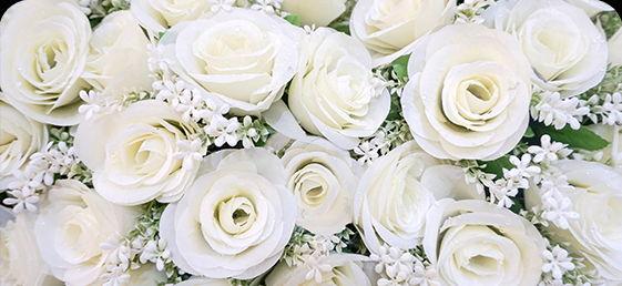The Wedding Website of Alivia Steinbarth and Zachary Ciavarella
