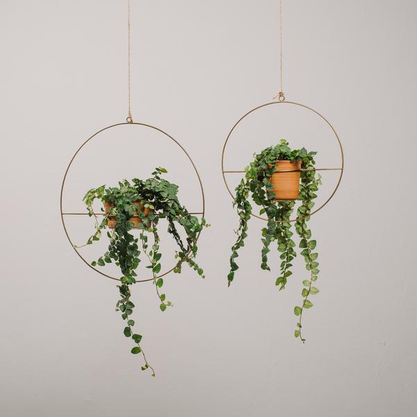 Varro Plant Hanger