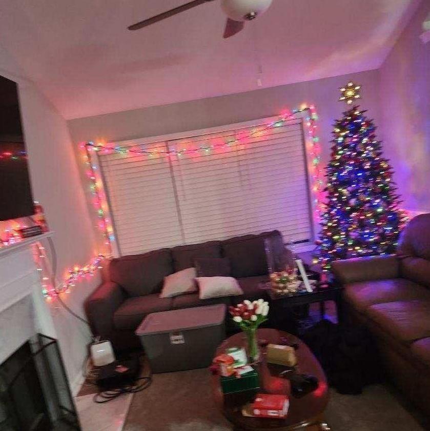 November 2022: A very blurry photo of some of our decorations from our first Christmas. My use of command strips may have failed me with the string lights.