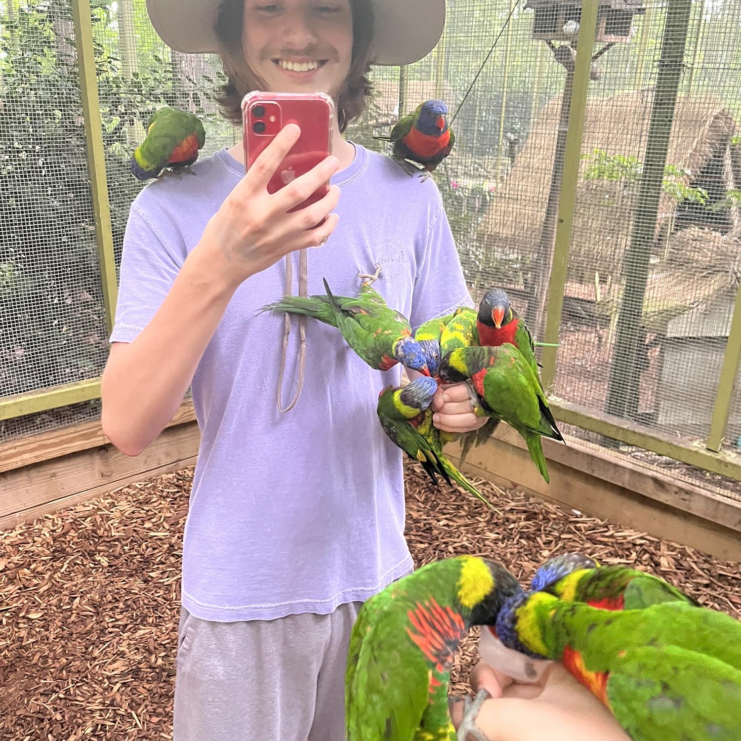 Parrot Mountain Adventure 🦜