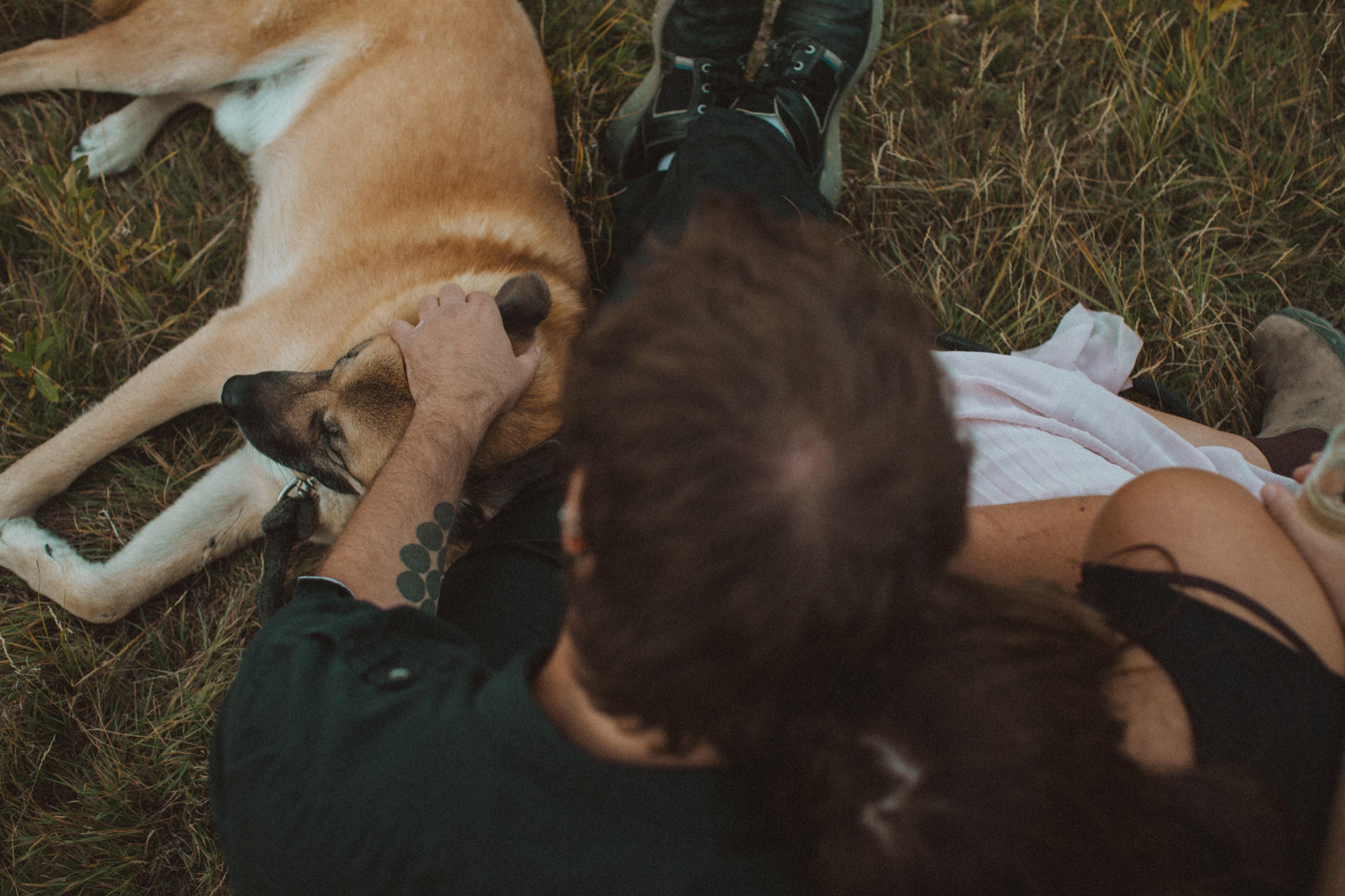 The Wedding Website of Katie Ryman and Jamie Templeton