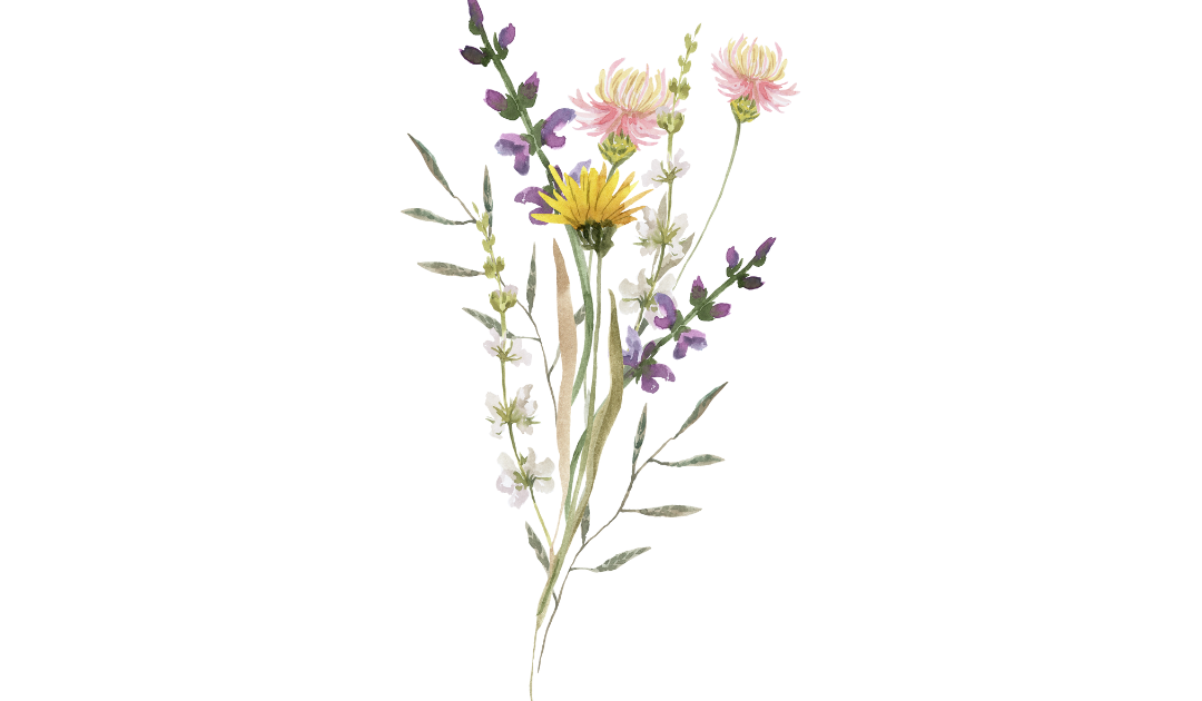 Footer image